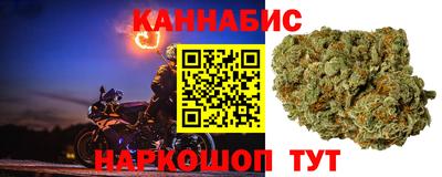 МДПВ Ливны