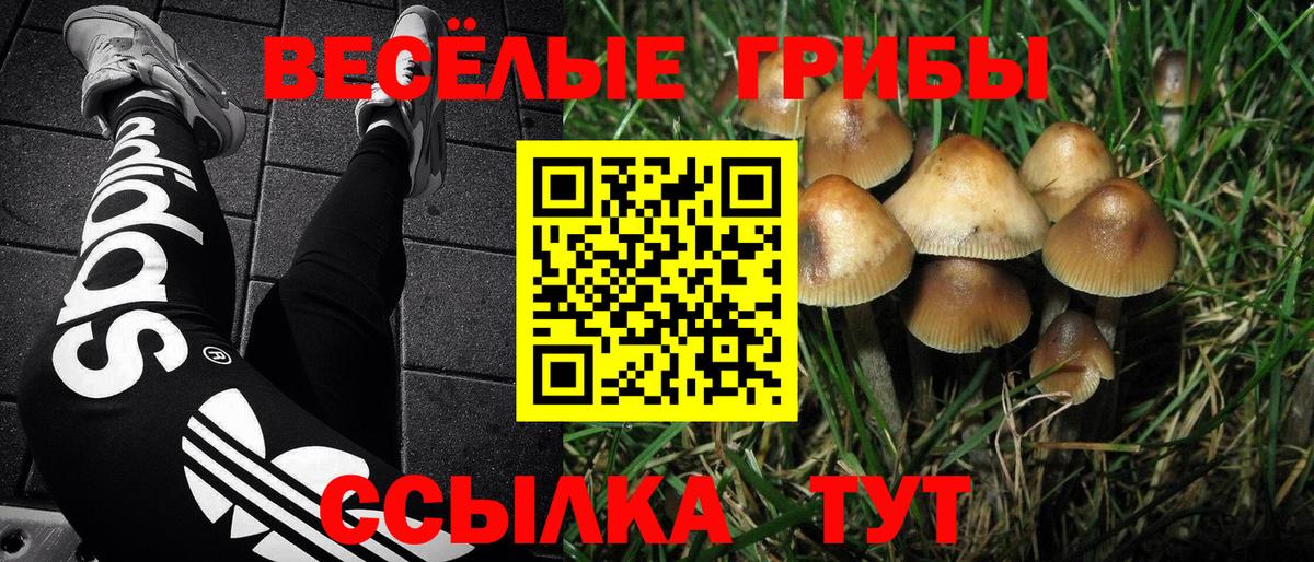 Псилоцибиновые грибы прущие грибы Азов